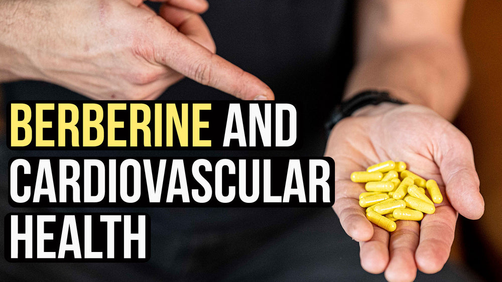 Cardiovascular Health* Benefits of Berberine HCl: New Study