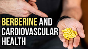Cardiovascular Health* Benefits of Berberine HCl: New Study
