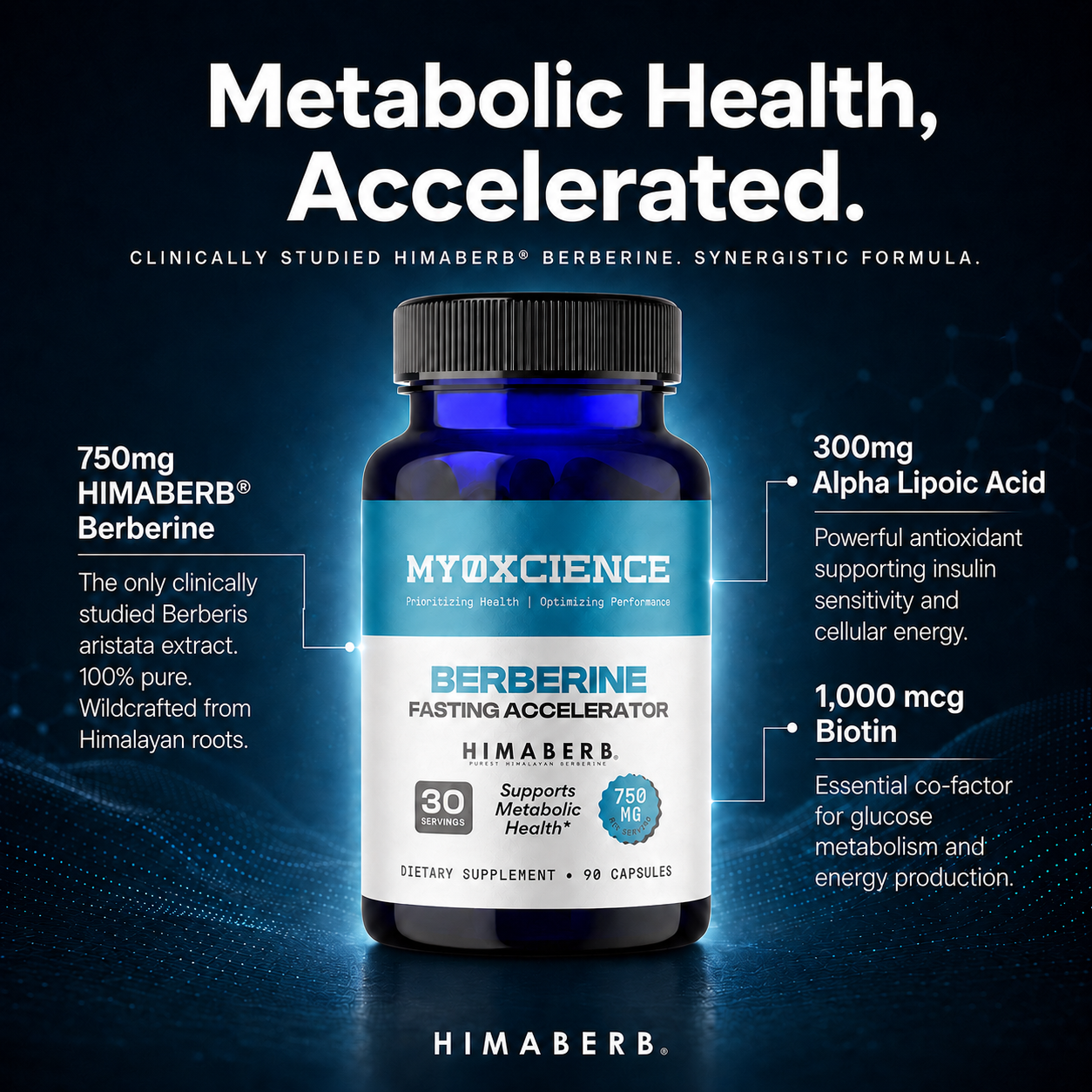 MYOXCIENCE Berberine Fasting Accelerator supplement infographic featuring HIMABERB® Berberine, Alpha Lipoic Acid, and Biotin for metabolic health support.