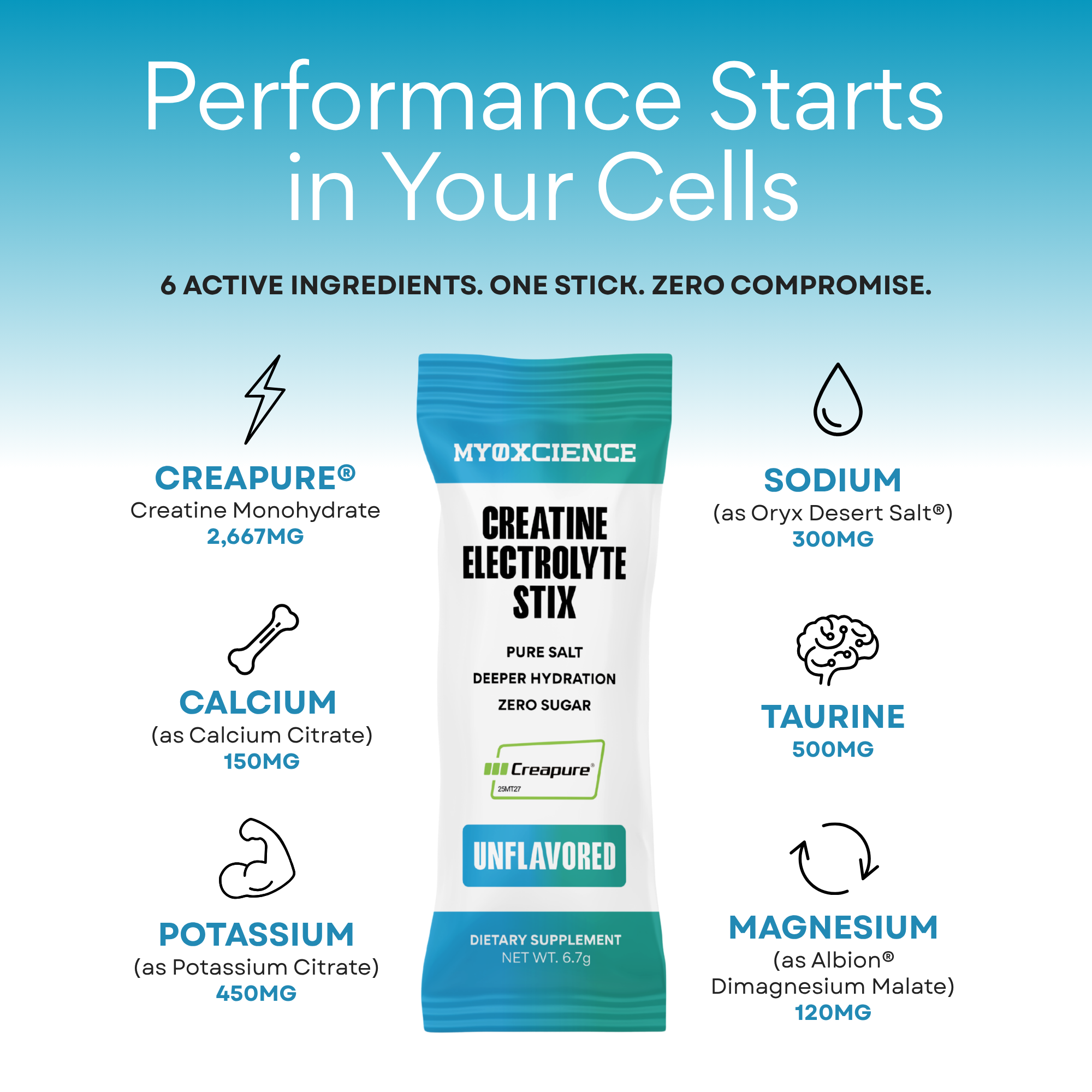 Electrolyte Stix: 2.6 grams of Creapure® Creatine Enhanced With Electrolytes