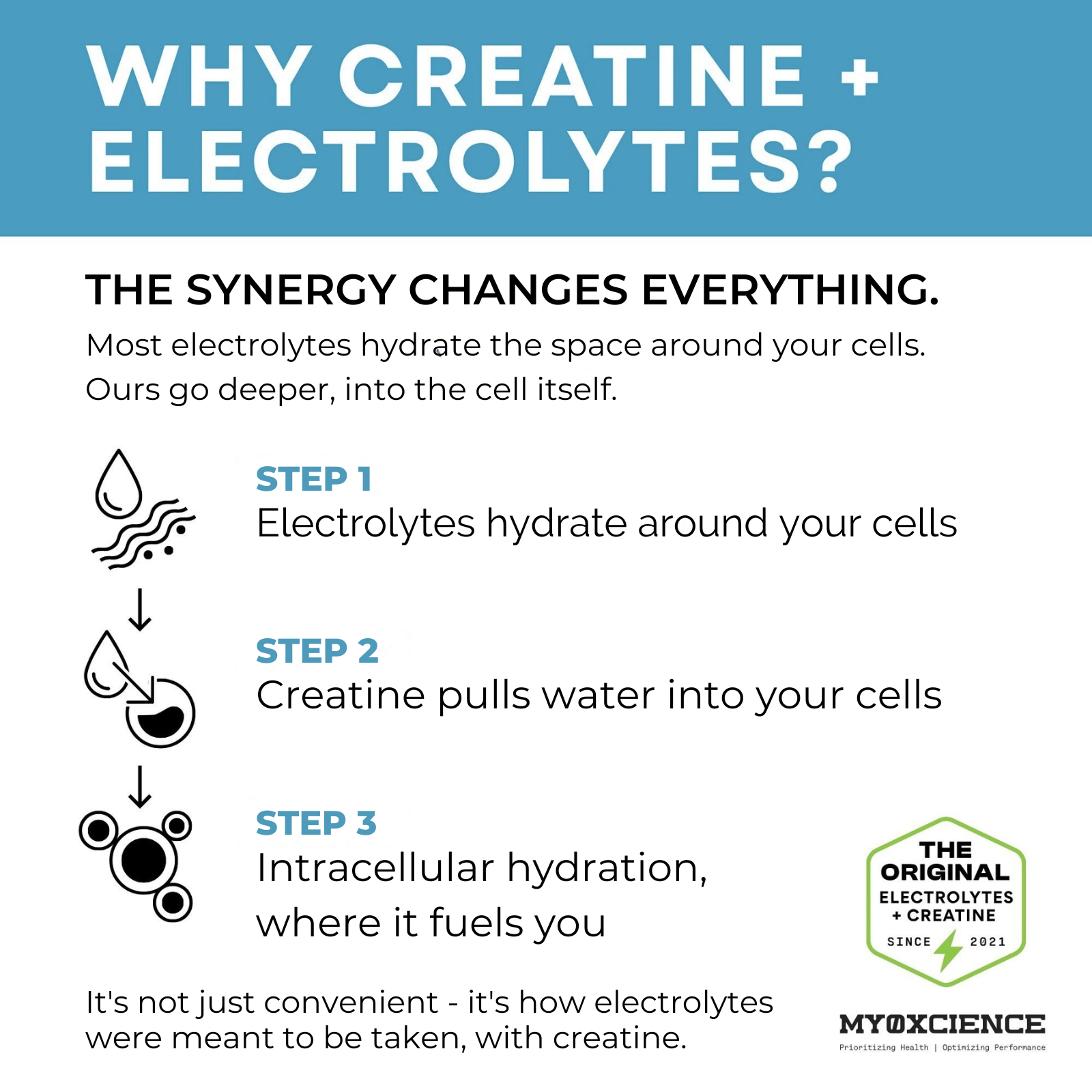 Three-step diagram showing why MYOXCIENCE combines creatine and electrolytes: electrolytes hydrate around your cells, creatine pulls water into them, for intracellular hydration.