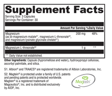 Brain Mag Magnesium L-threonate + Magnesium Glycinate Chelate powder ...